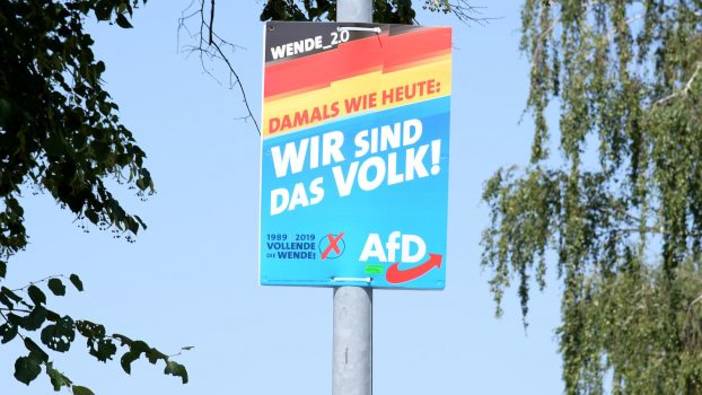 Der AfD-Wahlerfolg in Brandenburg bei der Landtagswahl am 1. September 2019